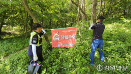 [포토뉴스]강릉 강남자율방범대 모산봉 환경정화