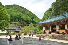 정선 정암사 적멸보궁 국가유산 승격 나서