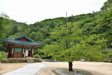 정선 정암사 적멸보궁 국가유산 승격 나서