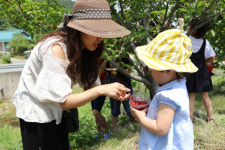 양양 명지리 마을에서 빨간 앵두와 함께 추억을 만드세요!