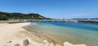 고성지역 항포구 준설에도 퇴적 현상 반복 대책 필요