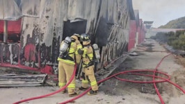 철원 메추리농장서 화재 발생…메추리 10만마리 소사