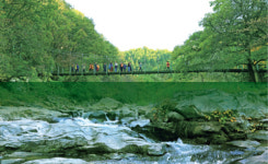 [강원의 점선면]자연의 소리 따라 걷다보니 내안의 소음 ‘노이즈 캔슬링’