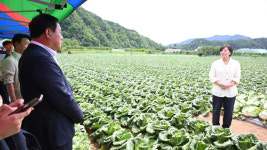 송미령 농림축산식품부장관, 여름배추 작황 점검 위해 평창 방문