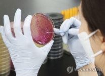 남원 24개 학교 납품 김치서 노로바이러스 검출…식중독 의심환자 1천명 넘어