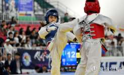 [포토뉴스]태권도 꿈나무들의 발차기