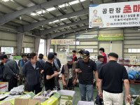 대관령원예농협 산지도매시장 초매식