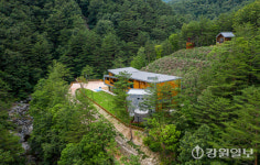 삼척시, 활기치유의 숲 요금면제 혜택 확대