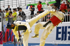 [포토뉴스]2024 춘천코리아오픈국제태권도대회