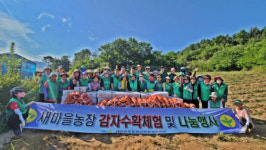 [포토뉴스]새마을운동 춘천시지회 감자 나눔 봉사