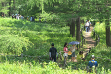무더위를 피해라, 이색 힐링 관광지 각광