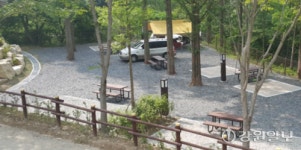 [팔도 핫플레이스]울창한 메타세콰이아 숲…대전 장태산 자연휴양림