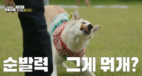 TV하이라이트-7월23일