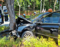 달리던 승용차 중앙분리대와 나무 잇달아 들이받아…80대 사망