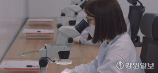[강원경제인대상 수상기업-일자리창출상]“혁신적 임플란트 기업…지역 고용 창출· ESG 경영 이바지”