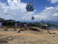 하이원 운탄고도케이블카, 즐길거리 가득한 관광명소로 부상