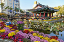 단풍명소·걷기 마니아 성지 원주서 소확행