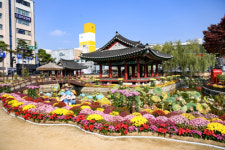 단풍명소·걷기 마니아 성지 원주서 소확행