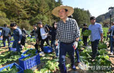 [포토뉴스]배추밭 찾아간 이재명 더불어민주당대표