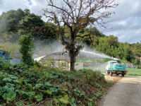 동해 산란계농장서 조류인플루엔자 항원 확인 지역 농가 긴장감 고조