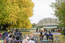 800년 우뚝 서있는 원주 반계리 은행나무서 인생샷 찰칵