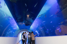 강원 고성 대표관광지 화진포 해양박물관 재개관