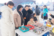 [포토뉴스]고성군 오호항 도루묵 축제장 관광객들로 북적