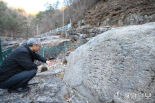 [조선 왕실의 숲을 가다]강원의 채취 가득한 금강송의 고장이 날 부르네