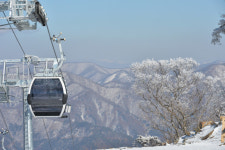 정선 가리왕산 케이블카 사용기한 연장 전망…존치여부 협의 계속