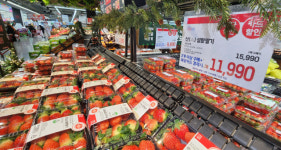 [포토뉴스] 딸기 가격 보고 화들짝