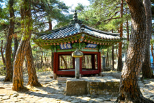 [터치 강원]괜찮아, 다 잘될 거야 외옹치해변 파도와 돌담길이 속삭이네