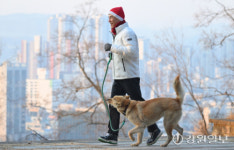 [포토뉴스]뭉치와 함께 아침구보 중인 김진태 지사