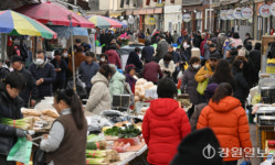 [포토뉴스]풍물장에 찾아온 봄기운