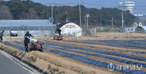 [포토뉴스]포근한 봄날, 본격 농사준비 시작