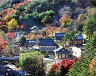 [터치,강원] 동해, 너에게 감동해
