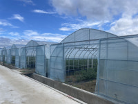 양구군, 비닐하우스 현대화로 농가 경쟁력 강화