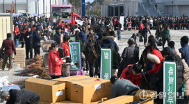 [2025 희망의 나무 나눠주기]강릉서 성황리 개최…주민 2,000여명 참여