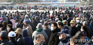 [포토뉴스]제80회 식목일 기념 강릉시민 나눠주기 행사