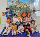 [포토뉴스]원주 예라어린이집 귤 따기 체험