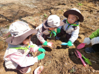 [포토뉴스]한국숲유치원협회 원주분회 유아숲사랑단 발대식