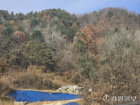 “주민도 모르게 축구장 115개 면적 수종 바꾸나”