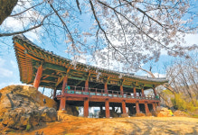 [강원의 점선면]강물과 바위로 빚은 무대…풍류를 노래하는 천년 누각