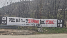 원주 장양1리 돈사 사육 재개 소문에 주민들 반발