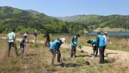 (주)빌텍 농어촌공사카페점 | [포토뉴스]한국농어촌공사·한국양봉협회·(주)트리플플래닛 밀원수림 조성 식목 행사 실시