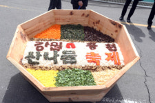 잿놀이 밥상·향긋한 산나물 맛보기 … 홍천 봄축제 다채