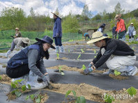 평창 발달 장애인 ‘치유농장’ 운영