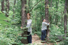 [터치 강원]‘숲 속 명상’과 ‘별빛 아래 수제 맥주’ … 여기는 홍천입니다