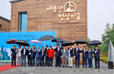 태백 매봉산 천상의 숲 개장…산악관광 본격 돌입