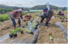 ‘아낌없이 주는 케어팜’ 본격 운영