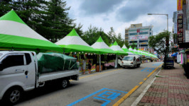 원주 도심 한복판서 버젓이 무허가 축제